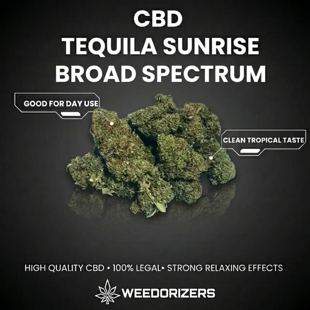 Tequila Sunrise Broad Spectrum