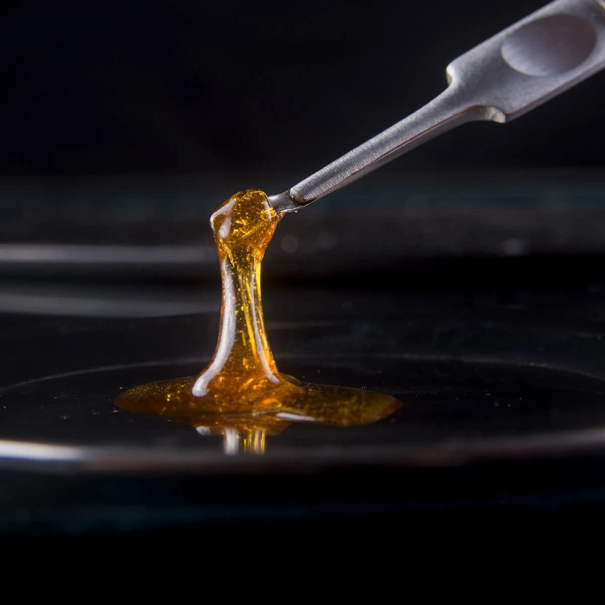 Legal Cannabinoids on the Rise