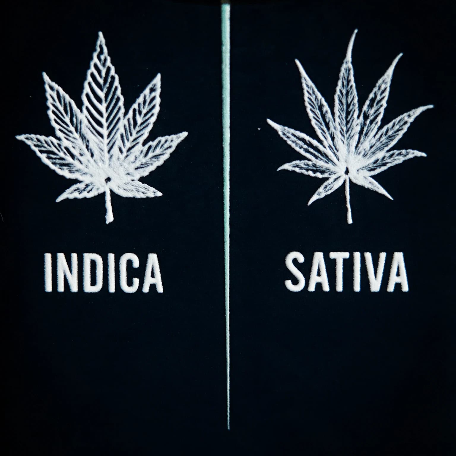 Plano de pormenor da face marcada do Penjamin Duo: folhas Indica e Sativa separadas por uma linha turquesa fina