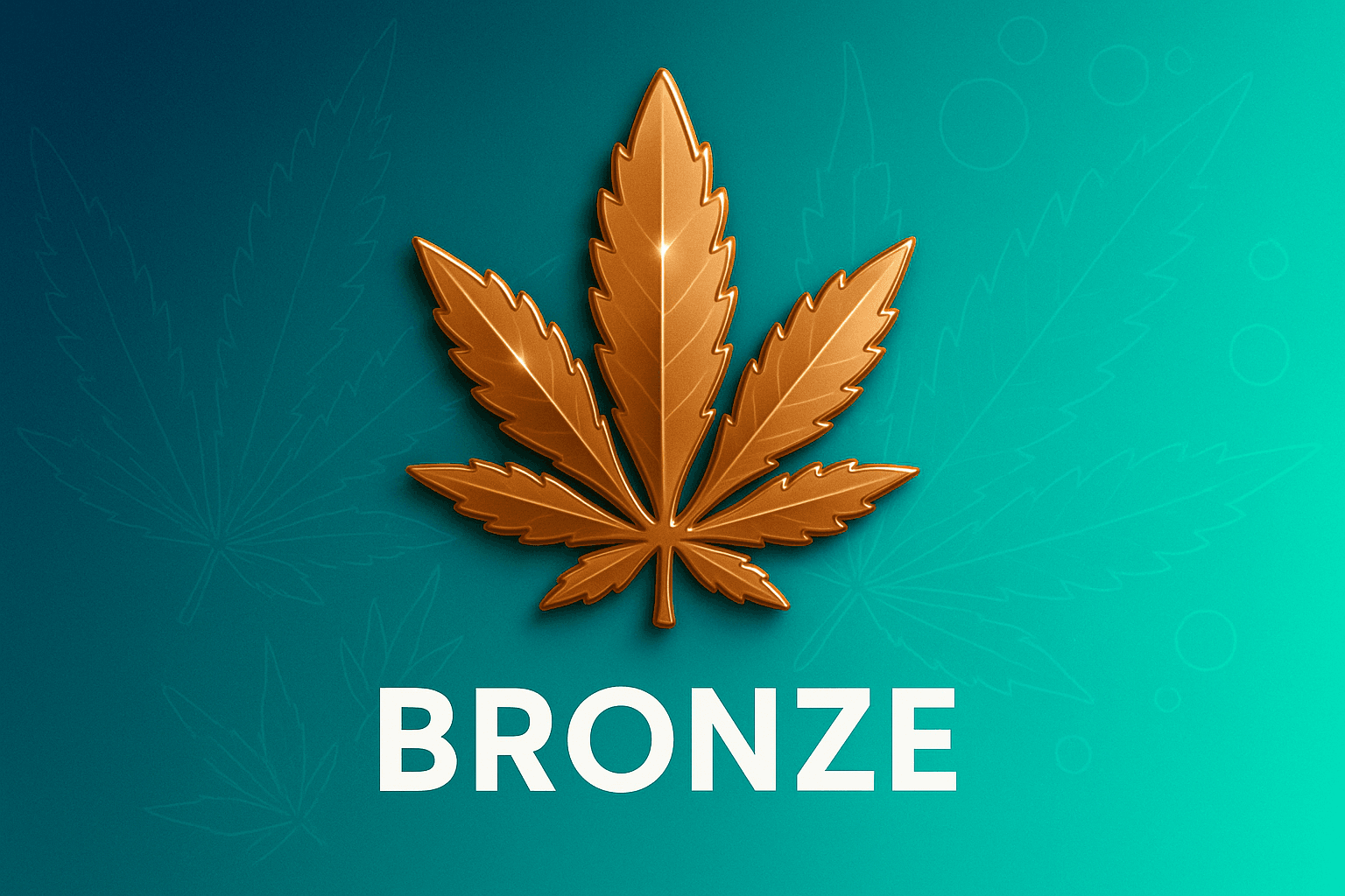 Bronze loyalty tier