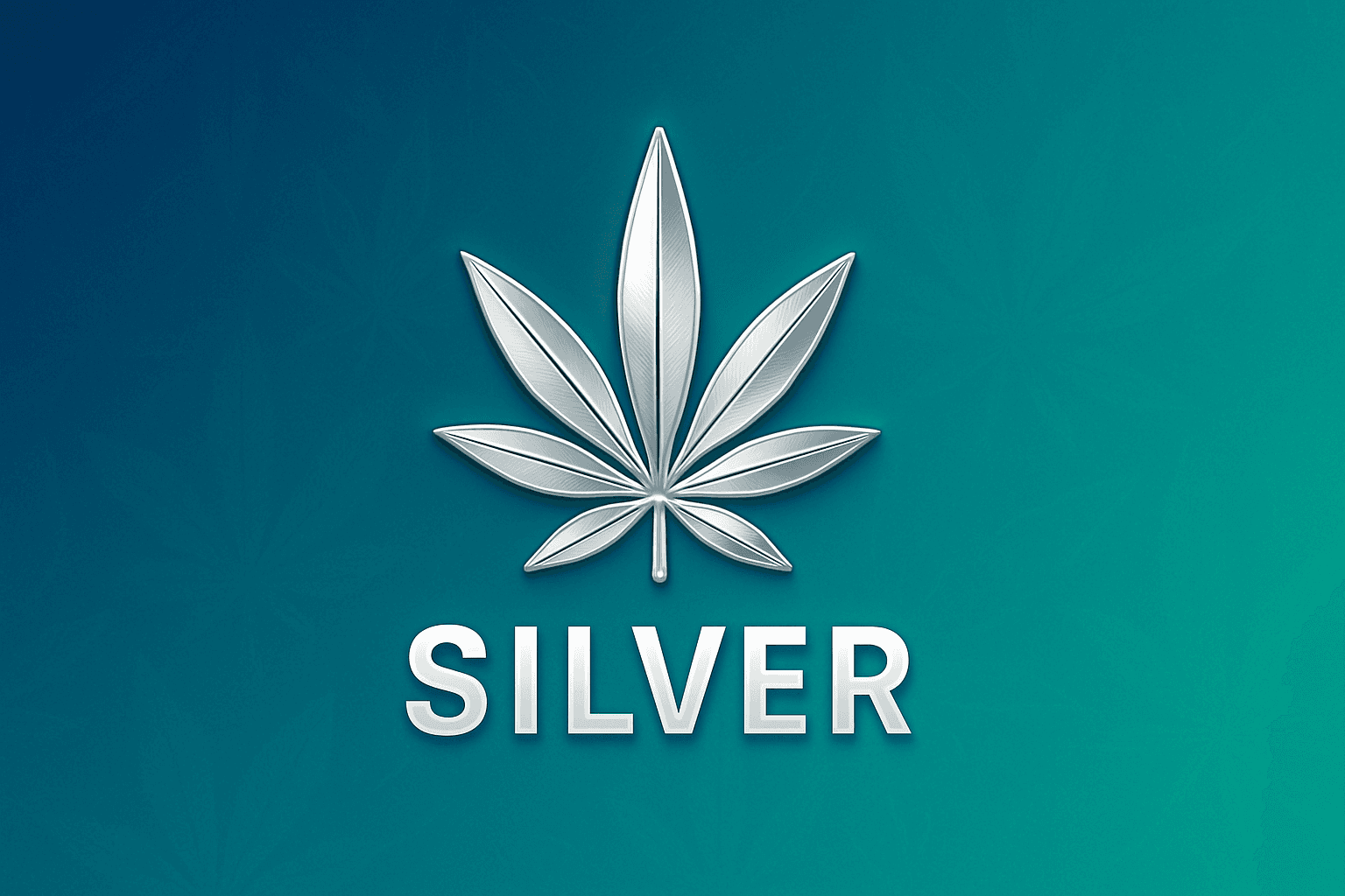 Silver loyalty tier