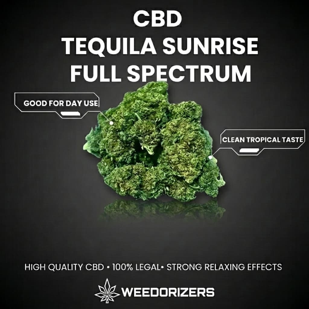 Tequila Sunrise Full Spectrum