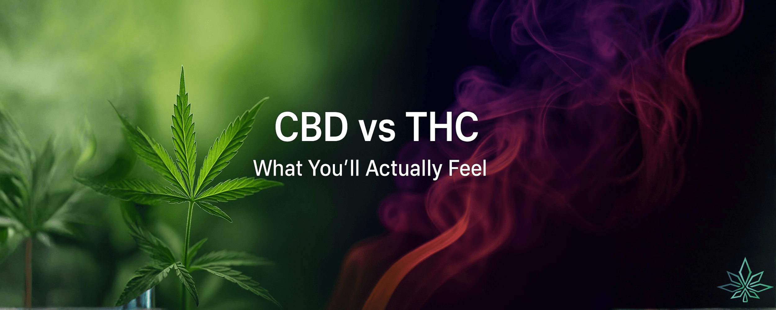 CBD vs THC Effects