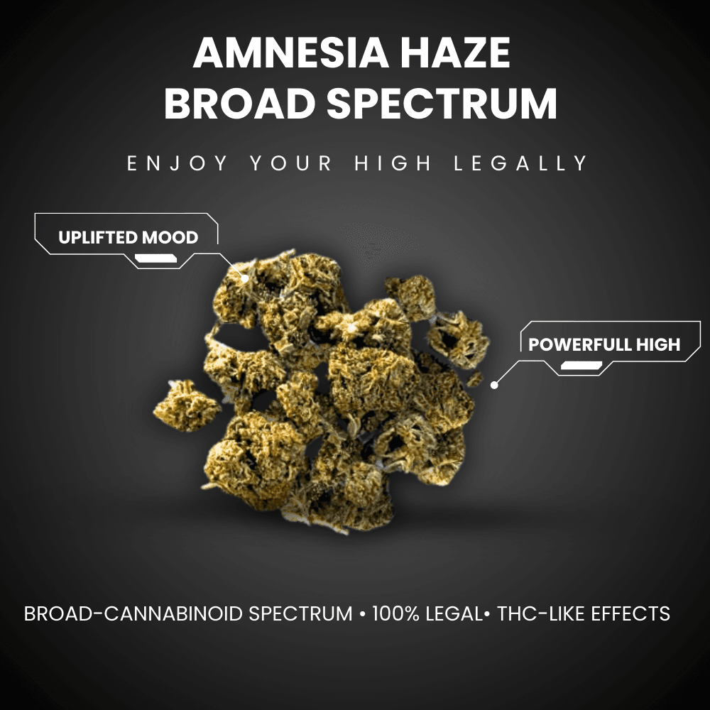 Amnesia Haze Broad Spectrum (Small Buds)