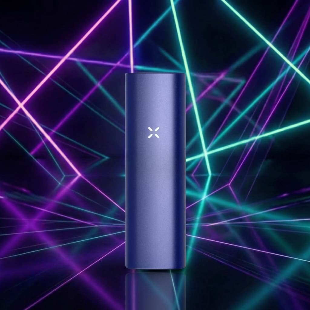 Pax 2