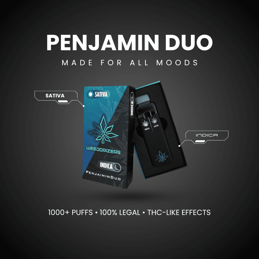 PENJAIN DUO