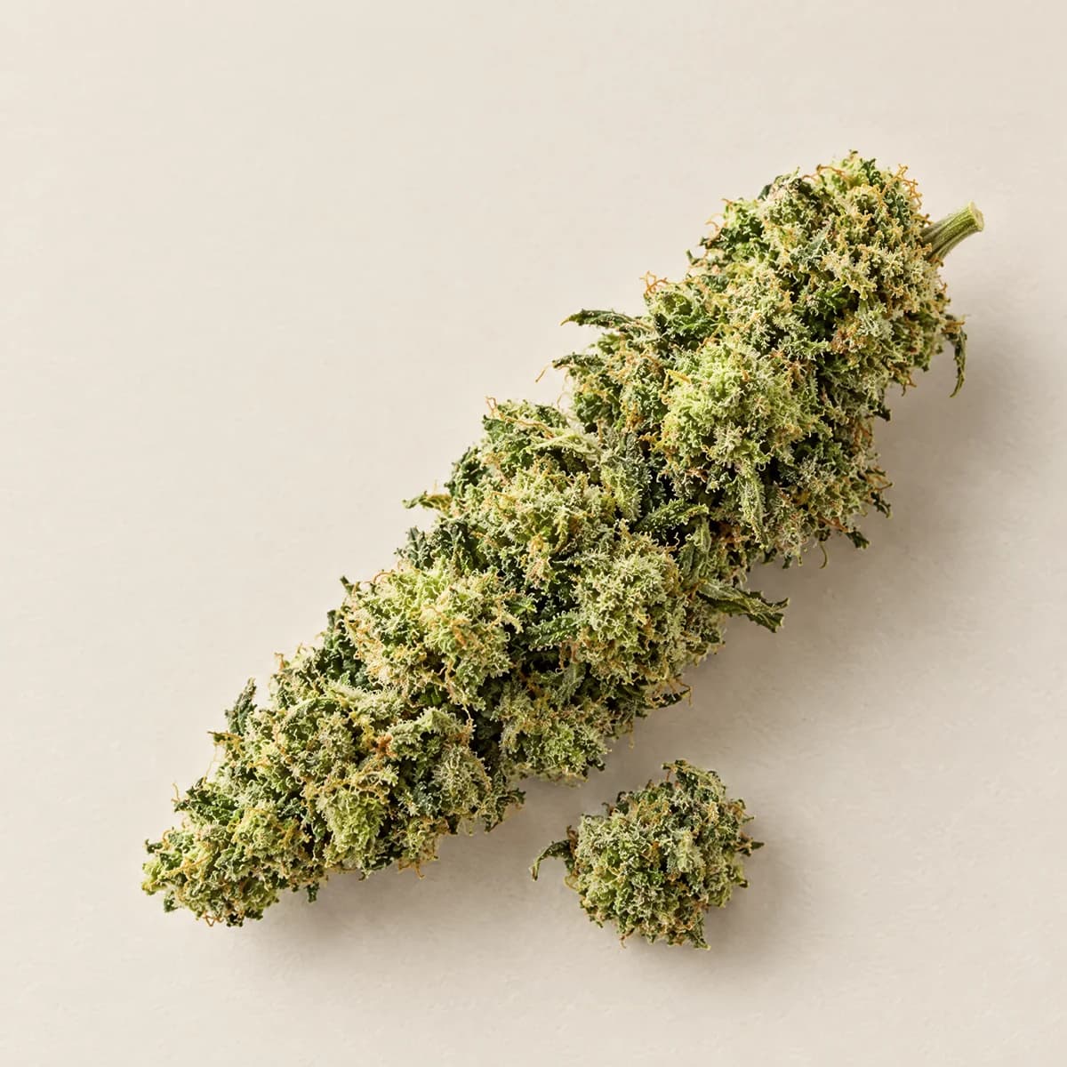 Super Silver Haze Broad Spectrum